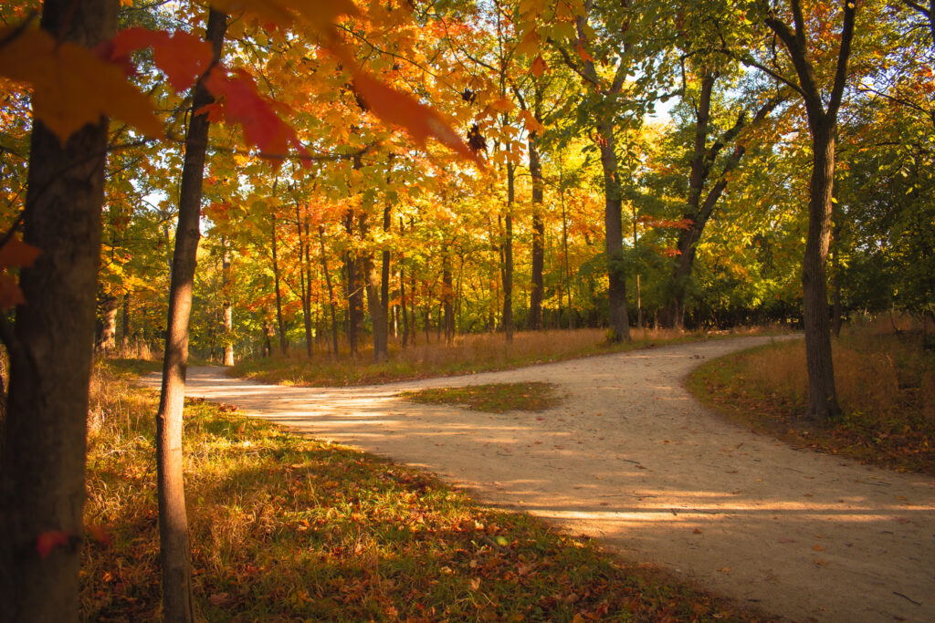 Thatcher Woods and Sunset Bridge Hiking Trails