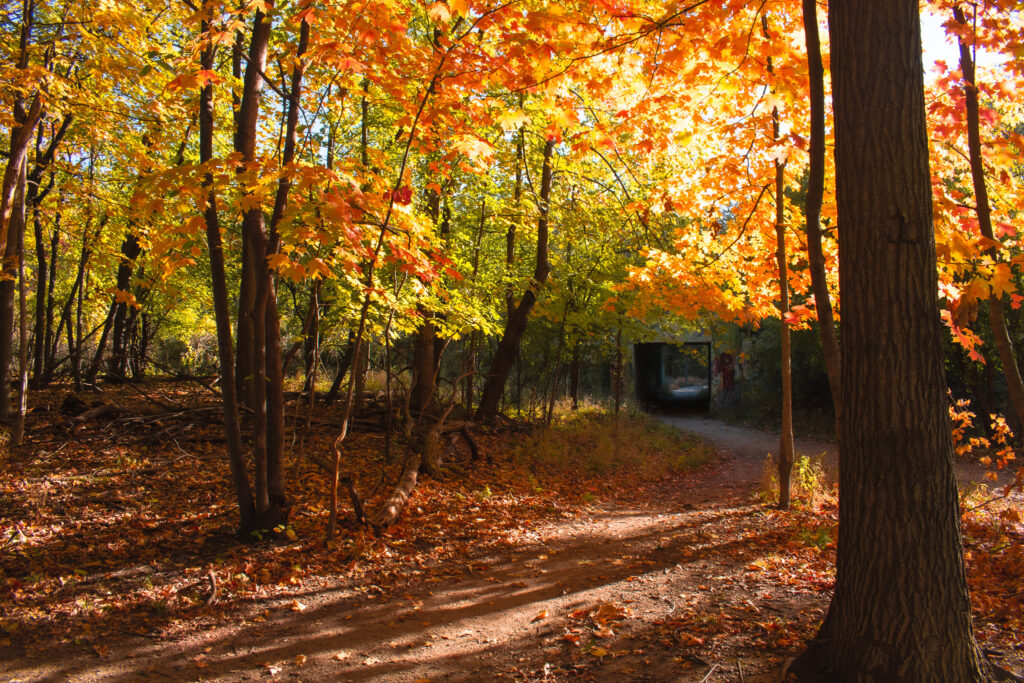 Thatcher Woods and Sunset Bridge Hiking Trails