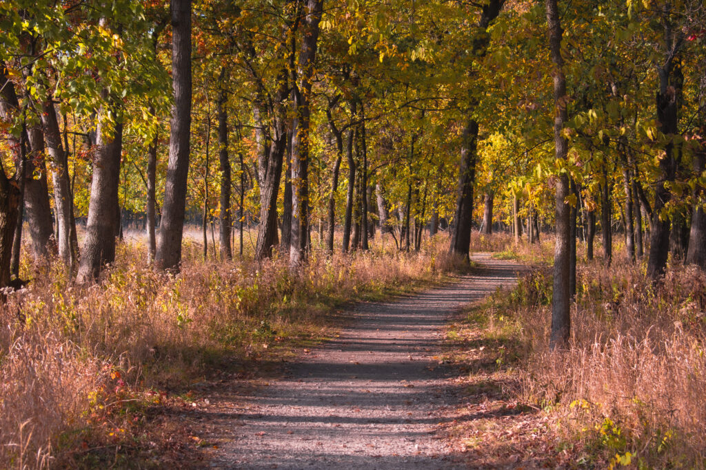 Thatcher Woods and Sunset Bridge Hiking Trails