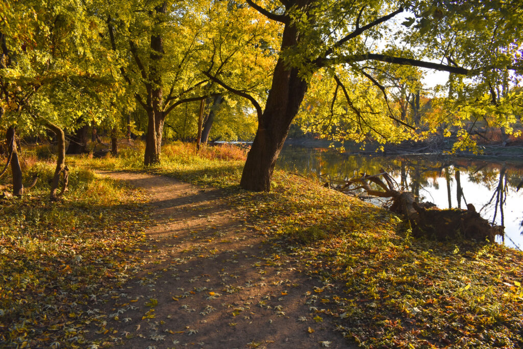 Thatcher Woods and Sunset Bridge Hiking Trails