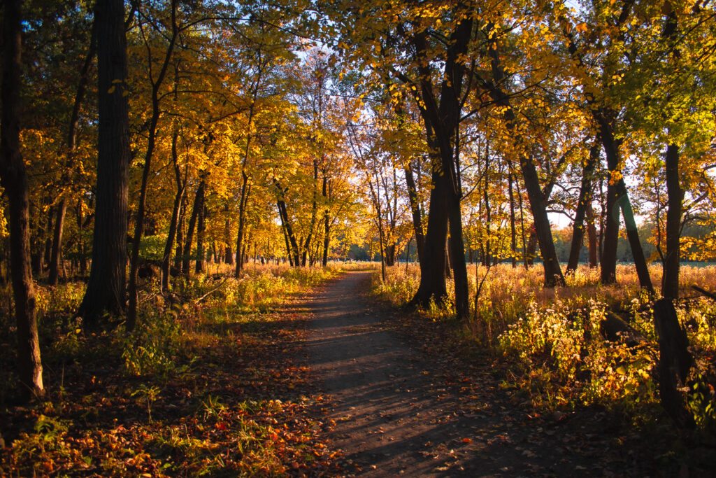 Thatcher Woods and Sunset Bridge Hiking Trails