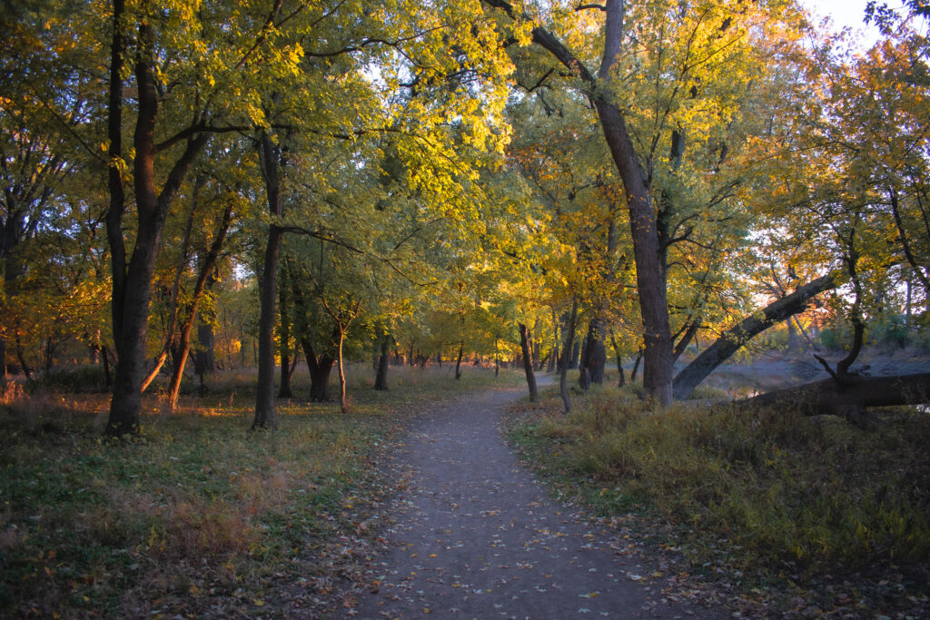 Thatcher Woods and Sunset Bridge Hiking Trails