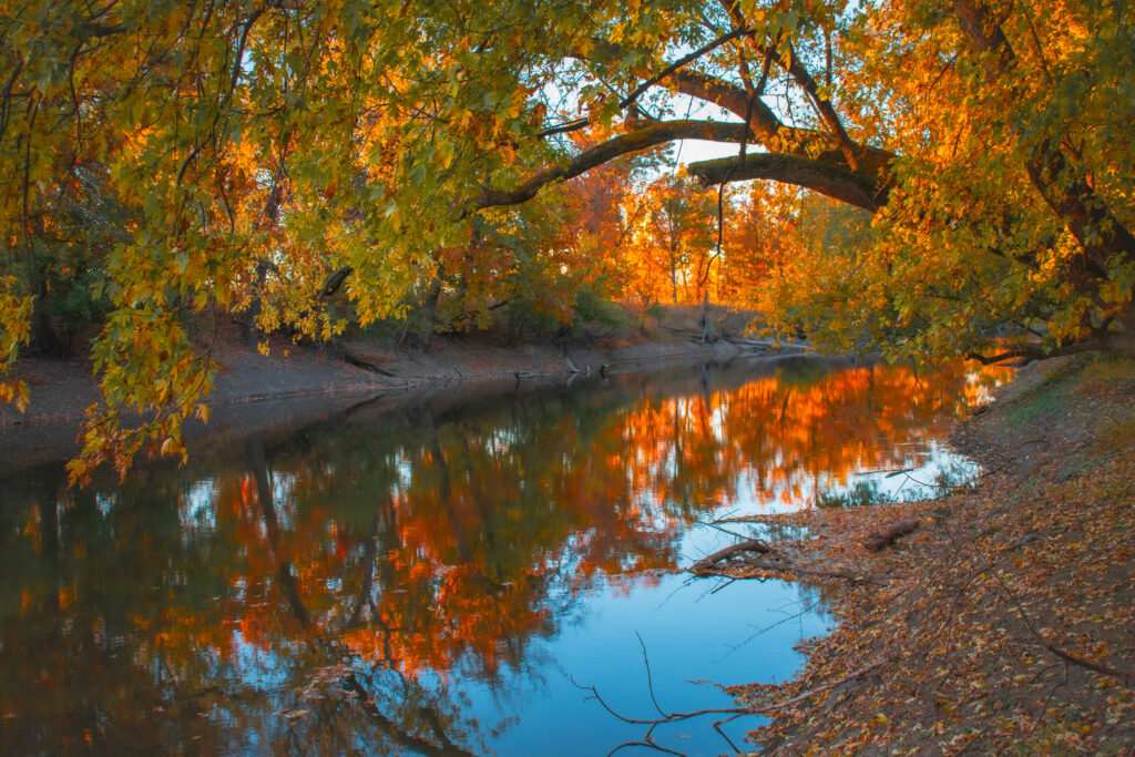 Thatcher Woods and Sunset Bridge Hiking Trails