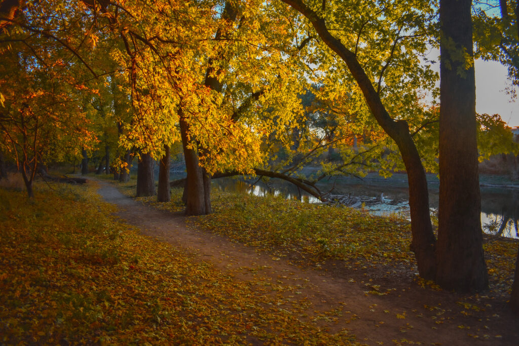 Thatcher Woods and Sunset Bridge Hiking Trails