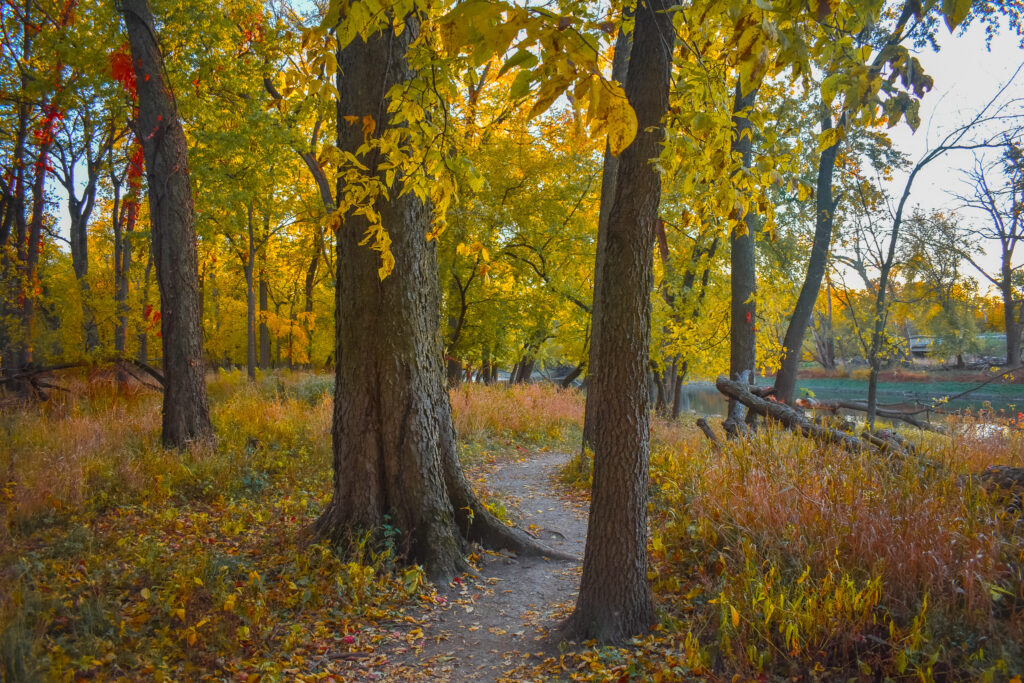 Thatcher Woods and Sunset Bridge Hiking Trails